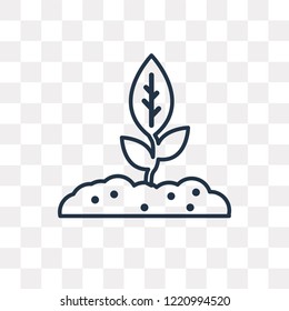 Growing Plant vector outline icon isolated on transparent background, high quality linear Growing Plant transparency concept can be used web and mobile