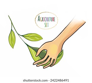 Growing plants, caring for green shoots of flowers and vegetables. Ecology and healthy food and cosmetics