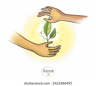 Growing plants, caring for green shoots of flowers and vegetables. Ecology and healthy food and cosmetics