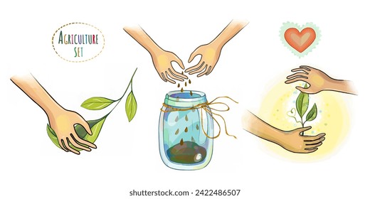 Growing plants, caring for green shoots of flowers and vegetables. Ecology and healthy food and cosmetics