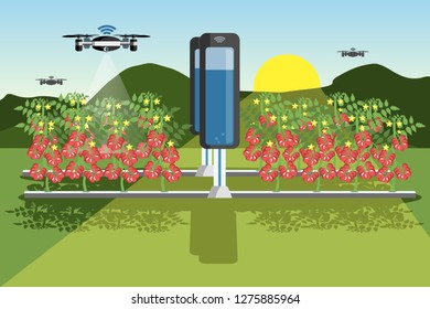 Growing plants in the field. Smart farm with wireless control. Eco farm with aquaponics system and irrigation system. Technology in agriculture. Vector illustration.