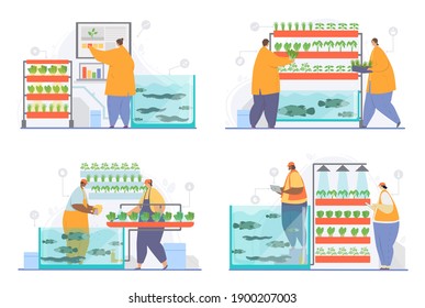 Growing plants in the greenhouse. Laboratory aquaculture cultivation. Hydroponics, aeroponics, aquaponics. Smart farm concept. Set of flat cartoon vector illustrations with fictional characters