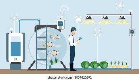 Growing plants in the greenhouse. Smart farm with wireless control. Eco farm with aquaponics system of planting vegetables. Vector illustration.