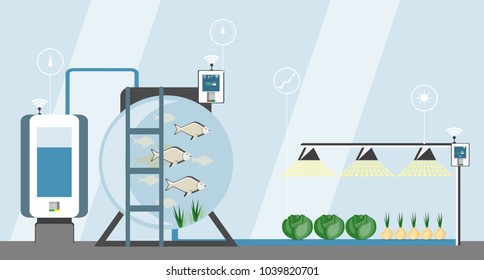 Growing plants in the greenhouse. Smart farm with wireless control. Eco farm with aquaponics system of planting vegetables. Vector illustration.