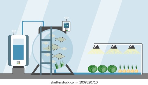 Growing plants in the greenhouse. Smart farm with wireless control. Eco farm with aquaponics system of planting vegetables. Vector illustration.