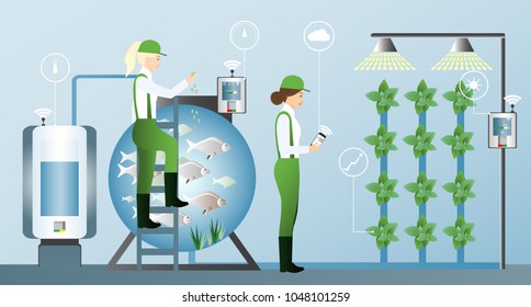 Growing plants in the greenhouse. Smart farm with wireless control. Eco farm with aquaponics system of planting vegetables. Vector illustration.