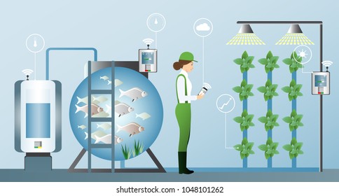 Growing plants in the greenhouse. Smart farm with wireless control. Eco farm with aquaponics system of planting vegetables. Vector illustration.