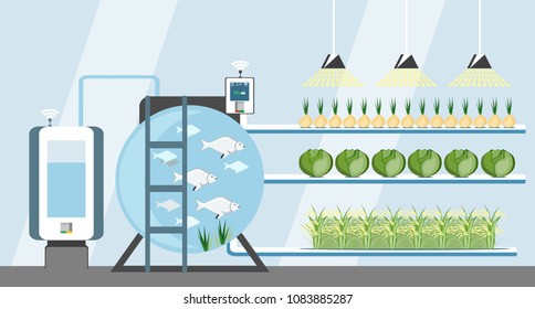 Growing plants in the greenhouse. Smart farm with wireless control. Eco farm with aquaponics system of planting vegetables. Vector illustration.