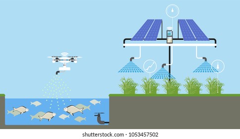 Growing plants on the field. Smart farm with wireless control. Eco farm with aquaponics system and irrigation system. Technology in agricultere. Vector illustration.