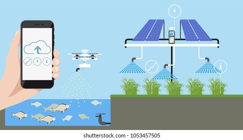 Growing plants on the field. Smart farm with wireless control. Eco farm with aquaponics system and irrigation system. Technology in agricultere. Vector illustration.