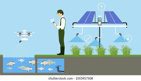 Growing plants on the field. Smart farm with wireless control. Eco farm with aquaponics system and irrigation system. Technology in agricultere. Vector illustration.