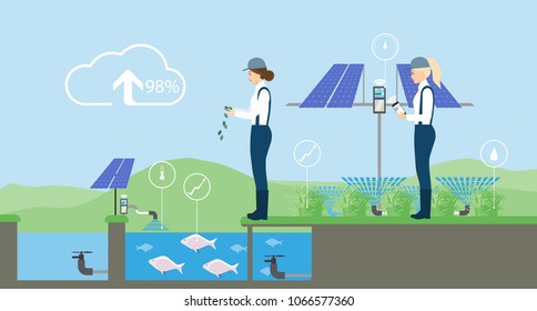 Growing plants on the field. Smart farm with wireless control. Eco farm with aquaponics system and irrigation system. Technology in agricultere. Vector illustration.