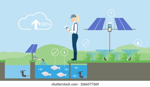 Growing plants on the field. Smart farm with wireless control. Eco farm with aquaponics system and irrigation system. Technology in agricultere. Vector illustration.