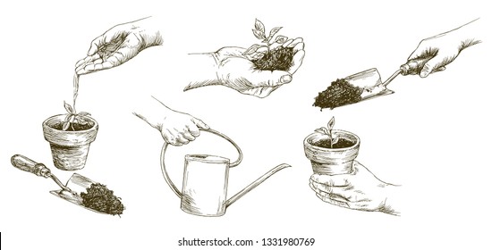 Growing plants. Plant seedling. Hand watering young plants. Hand drawn set.