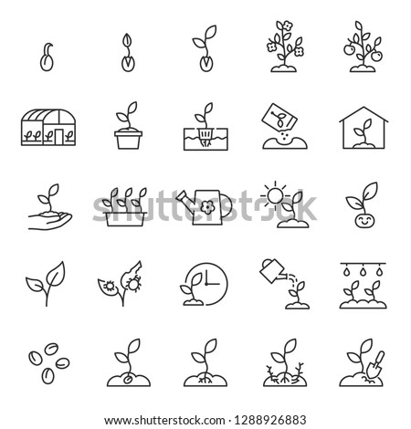 Growing plants. Sprout in the ground. Farming and gardening, icon set. Sprout care, linear icons. Plant in the ground, greenhouse and hydroponic systems. Line with editable stroke