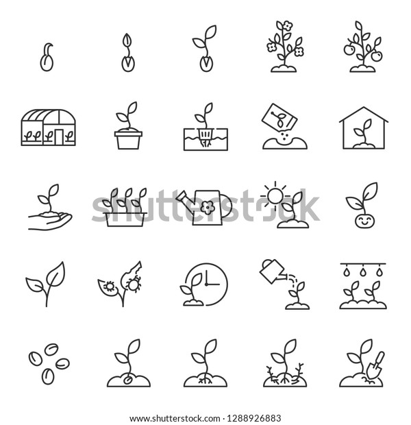 Growing\
plants. Sprout in the ground. Farming and gardening, icon set.\
Sprout care, linear icons. Plant in the ground, greenhouse and\
hydroponic systems. Line with editable\
stroke