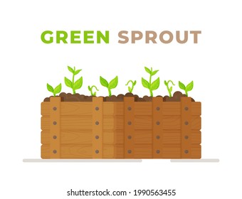 Growing plants. Growing vegetables. Seedling, the background of gardening. Vector illustration.