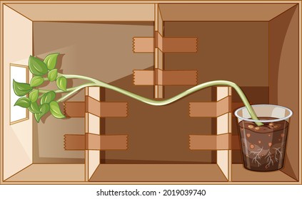 Growing potato science experiment with light illustration