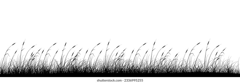 Growing reeds panoramic background design. Riverside. Vector illustration with empty copy space for text. Editable shape for poster decoration. Creative and customizable panorama image