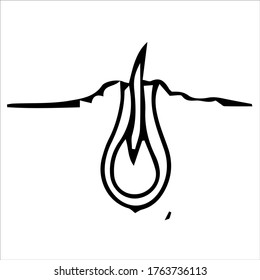 pepino de crecimiento y maduración en una ilustración de cama aislado en un fondo blanco