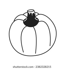 Growing ripening pumpkin black and white 2D cartoon object. Autumn harvest. Vegetable isolated vector outline item. Thanksgiving fall season. October autumnal monochromatic flat spot illustration