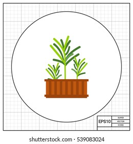 Growing Rosemary Icon