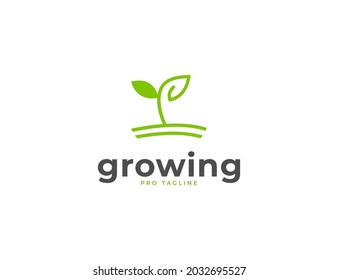 Growing seed with green leaves farm logo