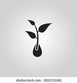 Growing seed Icon