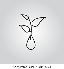 Growing Seed Icon