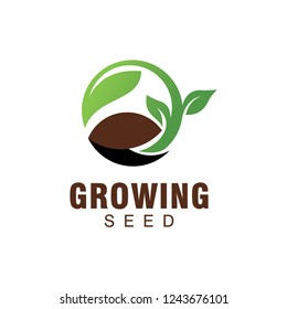Growing Seed Logo