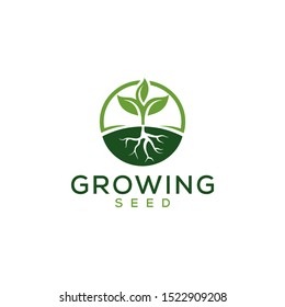 Growing Seed logo design vector , leaf , water and root simple concept with circle style inspiration download svg