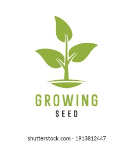 Growing Seed Logo Design Vector Stock Vector (Royalty Free) 1913812447 ...