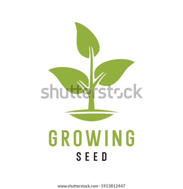 Growing Seed Logo Design Vector Stock Vector (Royalty Free) 1913812447 ...