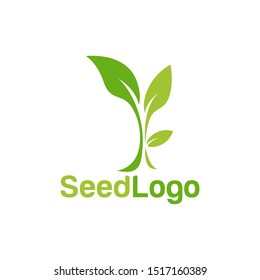 Growing Seed Logo Designs Vector Seed Stock Vector 