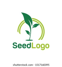 Growing Seed Logo Designs Vector Seed Stock Vector (Royalty Free ...