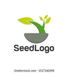 Growing Seed Logo Designs Vector Seed Stock Vector (Royalty Free ...