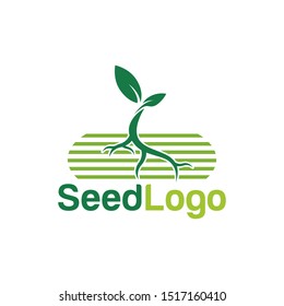 Growing Seed Logo Designs Vector Seed Stock Vector 