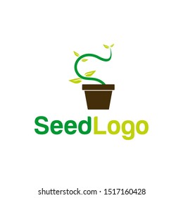 Growing Seed Logo Designs Vector Seed Stock Vector 