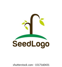 Growing Seed Logo Designs Vector Seed Stock Vector 