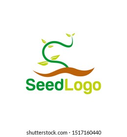 Growing Seed Logo Designs Vector Seed Stock Vector (Royalty Free ...