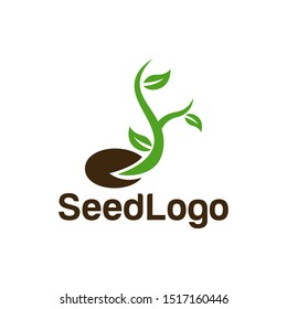 Growing Seed Logo Designs Vector Seed Stock Vector 