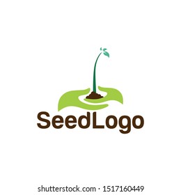 Growing Seed Logo Designs Vector Seed Stock Vector 