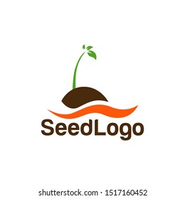Growing Seed Logo Designs Vector Seed Stock Vector 
