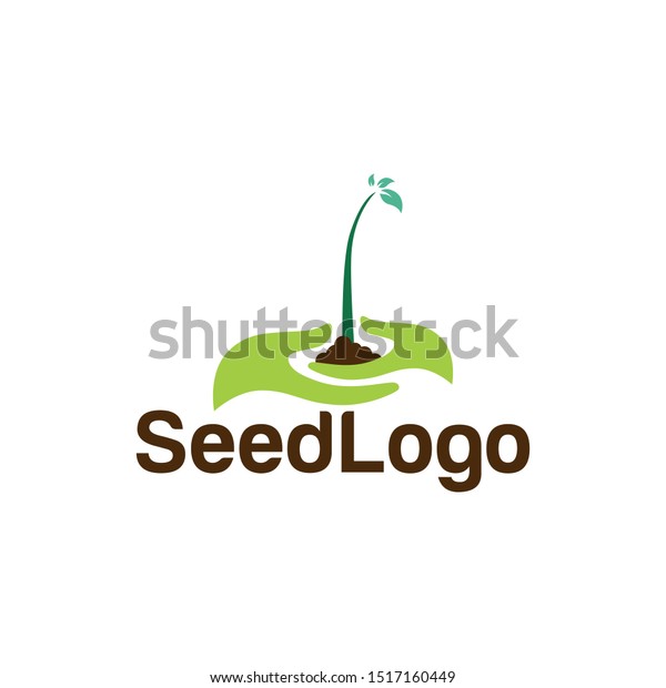 Growing Seed Logo Designs Vector Seed Stock Vector (Royalty Free ...