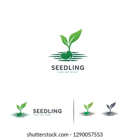 Growing Seed logo template, Iconic Growing seed