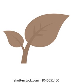 The growing seedling, ecology concept