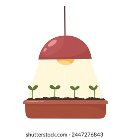 Cultivo de plántulas bajo lámpara, siembra de primavera, agronomía. Ilustración vectorial en estilo plano.