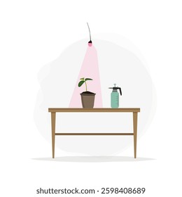 Growing seedlings under a lamp, spring planting, agronomy. Vector illustration in flat style. Growing cucumber seedlings.