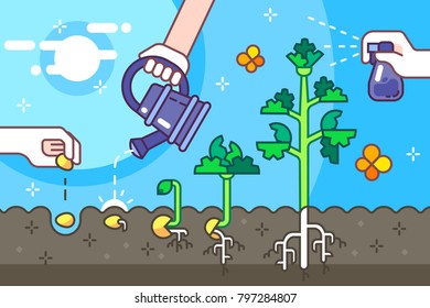 Growing Seeds in the Ground