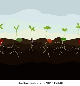 Growing seeds vector illustration